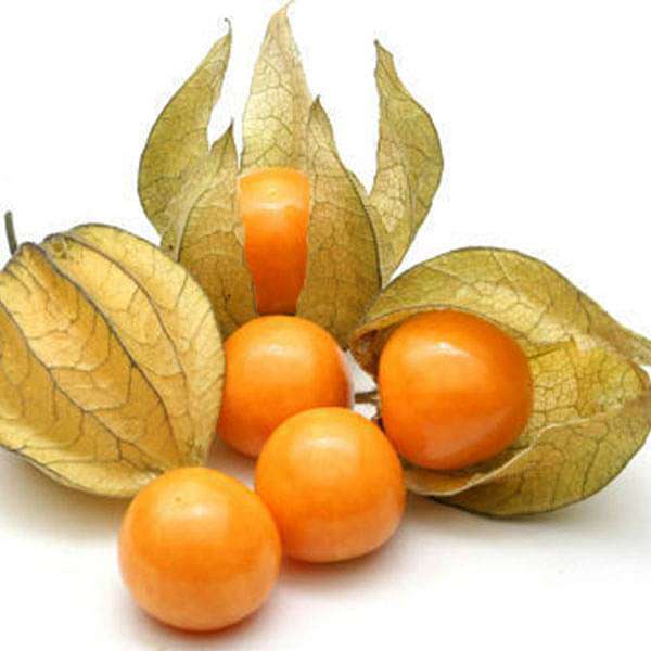 Cape Gooseberry Seeds